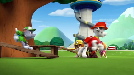 Le Nickelodeon Tour débarque dans ton centre commercial (Hellokids)