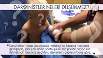 Darwinistler neleri düşünmez? -10- (Kanama-Yaralanma Tedavisi)