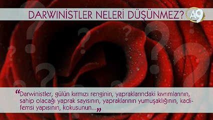 Darwinistler neleri düşünmez? -7- (Bitkiler)