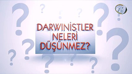 Darwinistler neleri düşünmez? -8- (Göz)