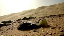 Spearhead Plateau & Silica Glass Valley of the Sahara - Shane O goes to Egypt