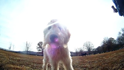 Positivity commercial