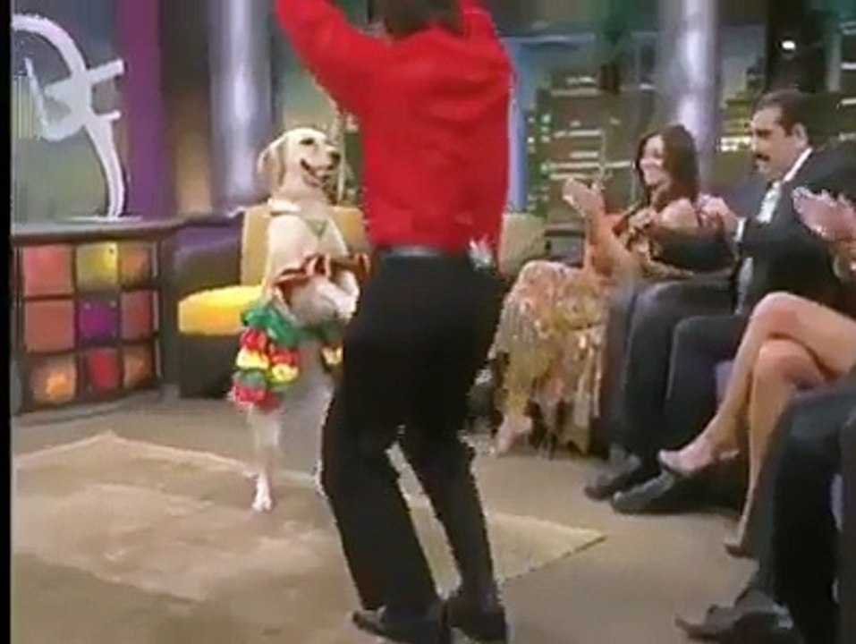 REAL TALENTED DOG