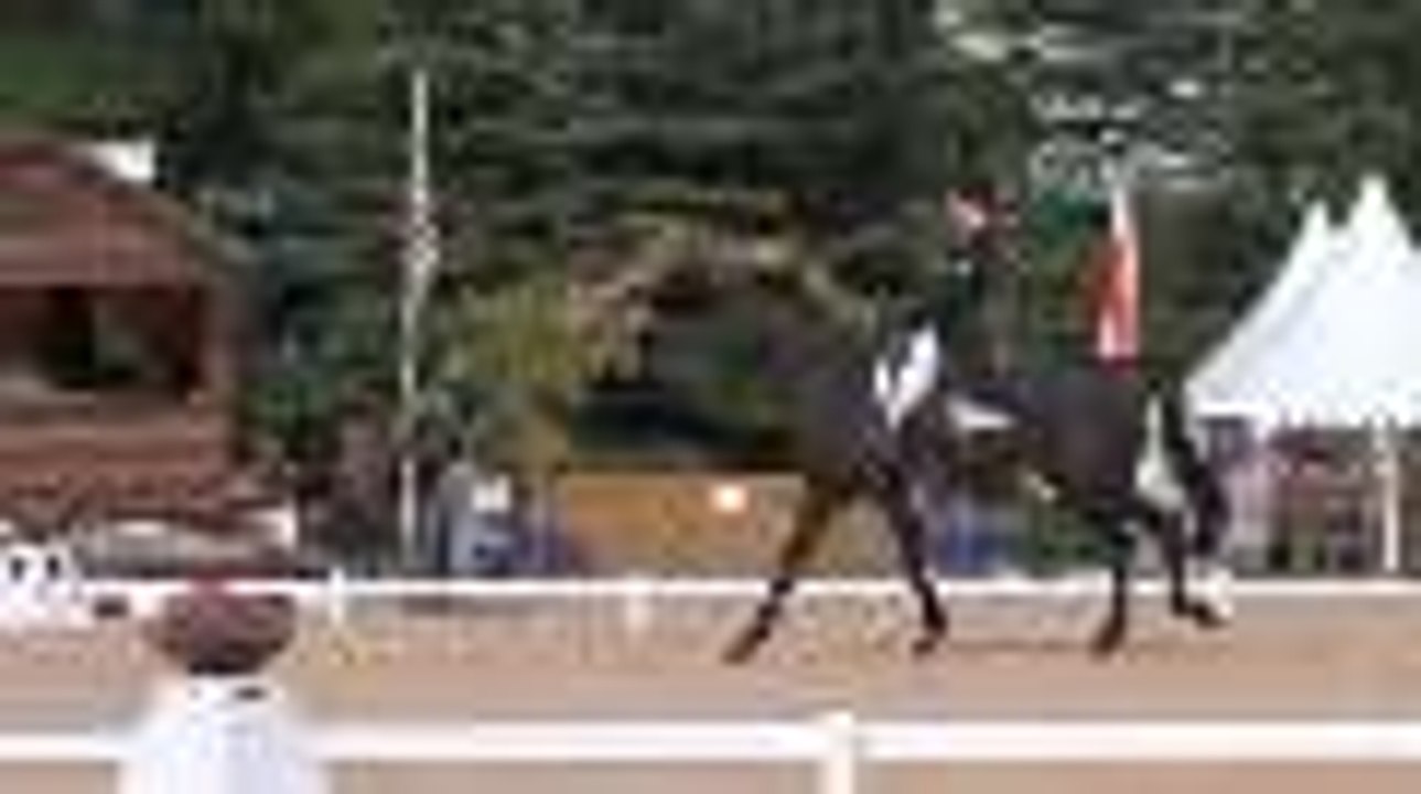 Etoiles de Pau : Andrew Nicholson 2e ex-aequo