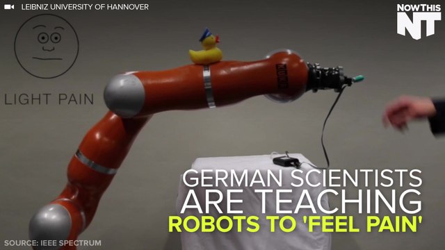 German Scientists Teach Robots To Feel Pain