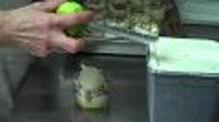 Bonnes tables - Chez Chloee à Pau