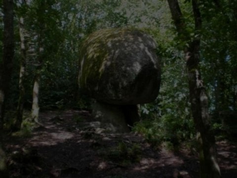 Huelgoat-quelques-images-de-la-foret