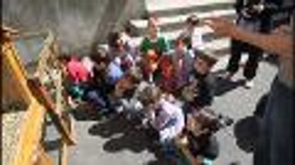 Angoulême: des poules à l’école pour plancher sur la biodiversité