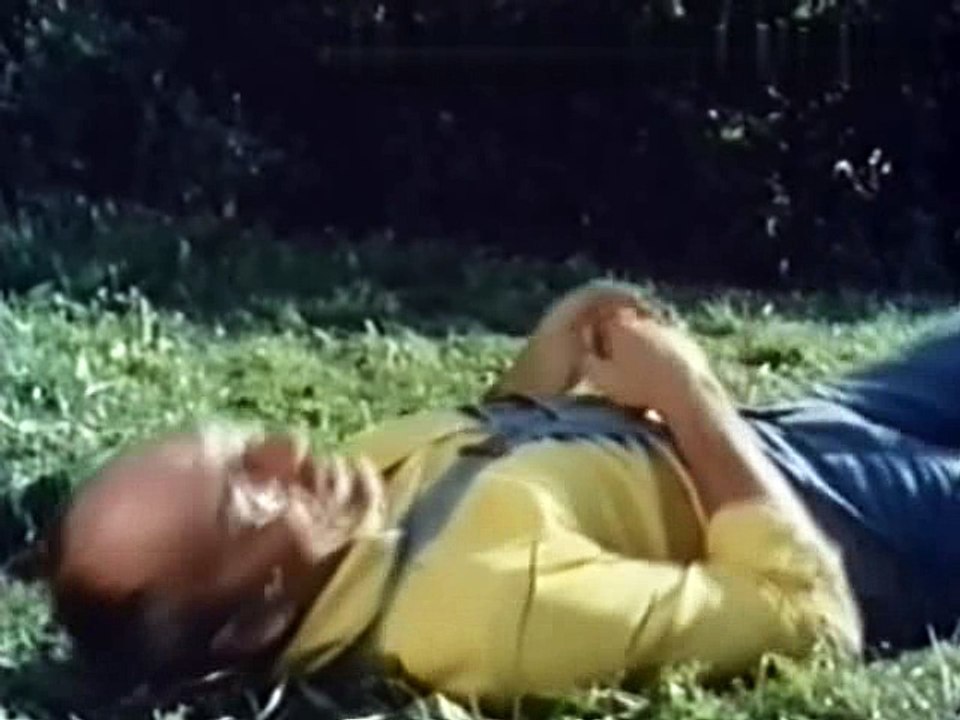 Loewenzahn  S02E02 - peter geht dem apfel auf den kern