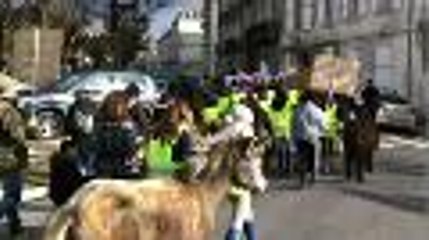 Manifestation centres équestres