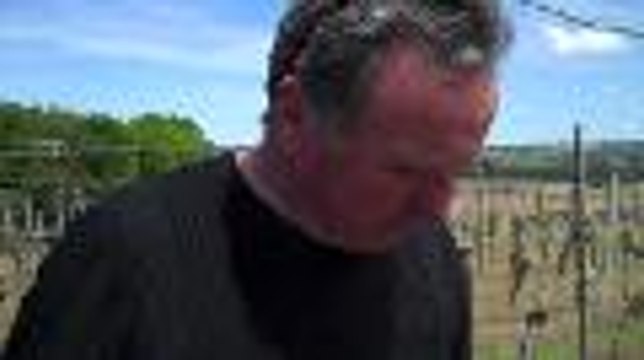 Ravages de la grêle sur les vignes à Arrosès 1er mai 2012