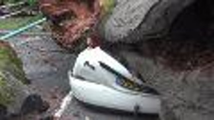 Une voiture écrasée sous un arbre à Pau