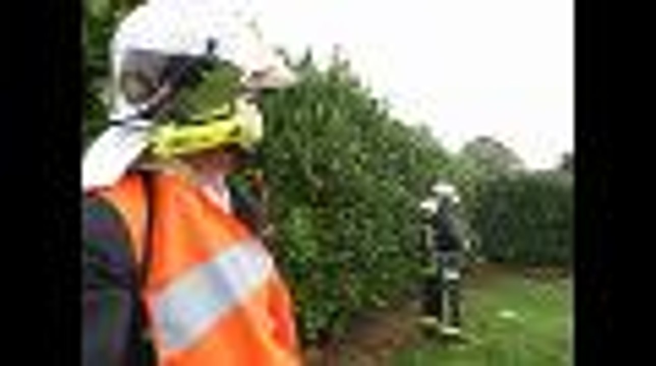 Une mini-tornade a traversé trois villages des Pins et de Chasseneuil