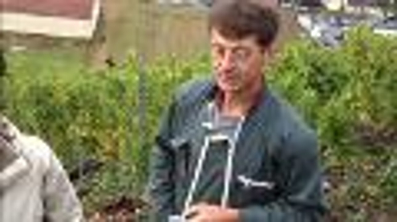 Vin des mines: le pari un peu fou des viticulteurs charentais