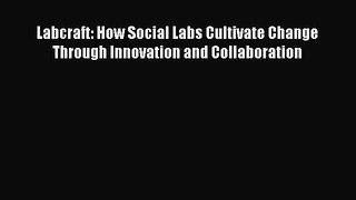 READbookLabcraft: How Social Labs Cultivate Change Through Innovation and CollaborationREADONLINE
