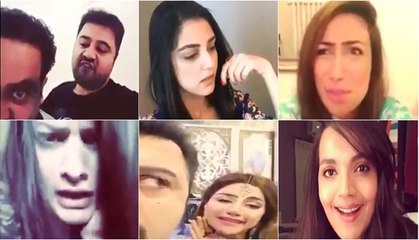 Famous Pakistani Celebrity Dubsmash Collection 8
