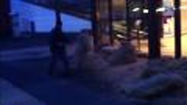 Les éleveurs de chèvres crient leur colère au supermarché