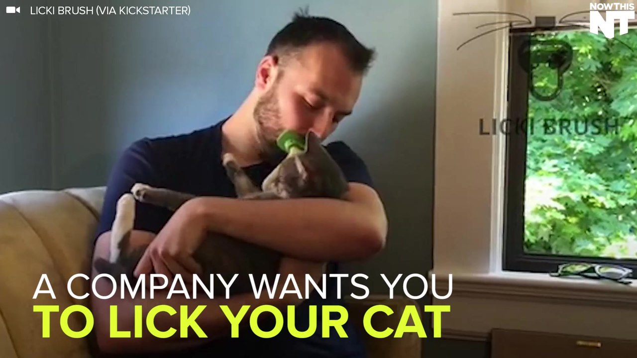 Lick Your Cat