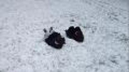 descente sur sac poubelle