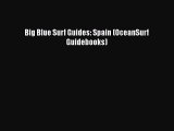 [Read] Big Blue Surf Guides: Spain (OceanSurf Guidebooks) Ebook PDF