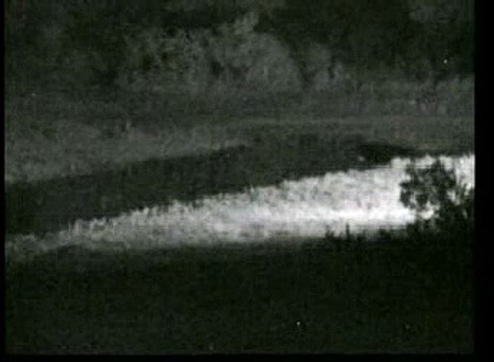 Two Lionesses? at Djuma 12/24/07