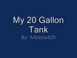 My 20 Gallon Planted Tank