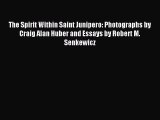 Read The Spirit Within Saint Junipero: Photographs by Craig Alan Huber and Essays by Robert