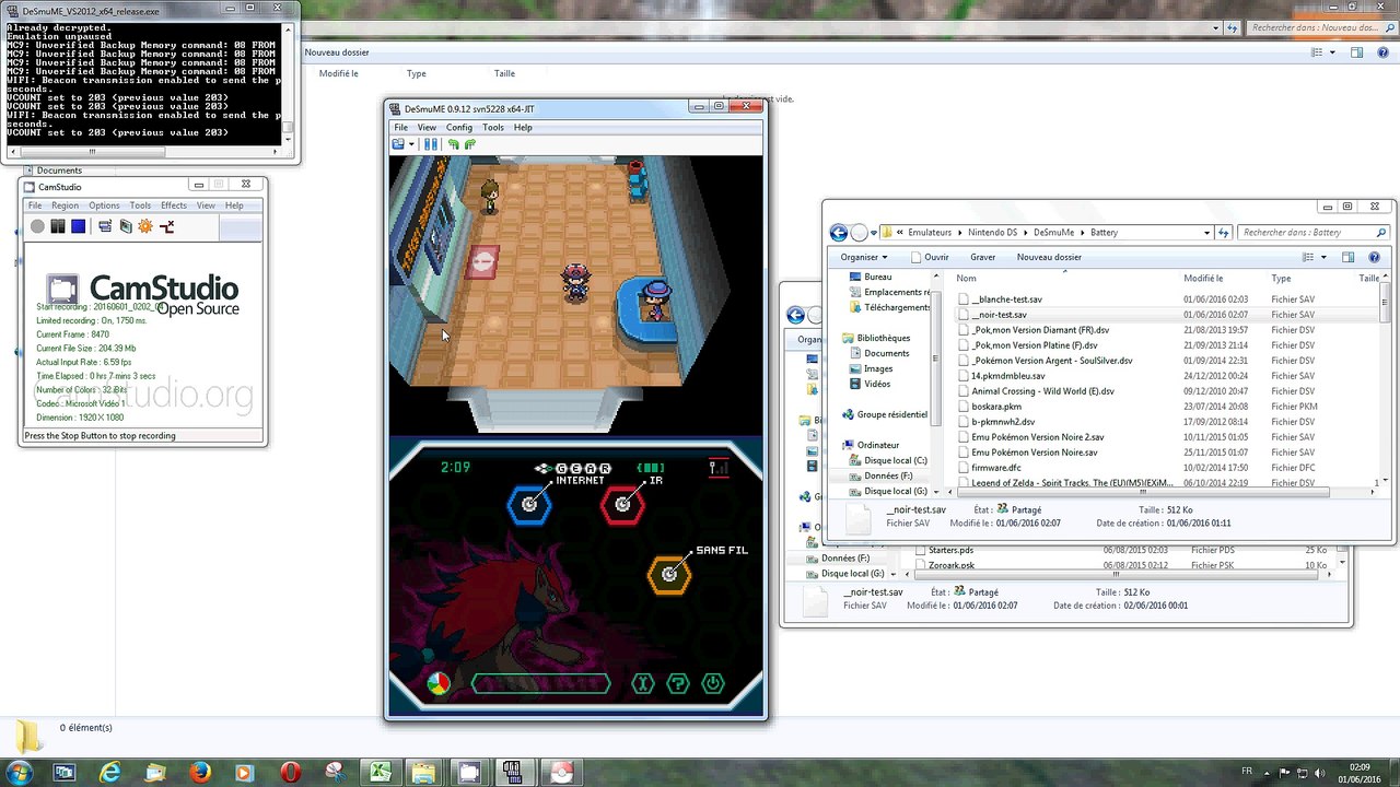 Bonheur des Dresseurs dans la Forêt Blanche et la Ville Noire