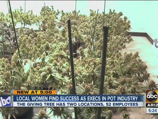 Woman execs as medical marijuana industry grows