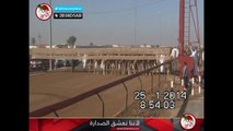 برعاية نادي دبي السبت 2014/01/25 ميدان المرموم سن الفطامين مسافة 1500 متر - الشوط 1