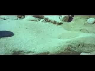 Chori Chori Chupke Chupke: A Heartwarming Romantic Drama 🎬