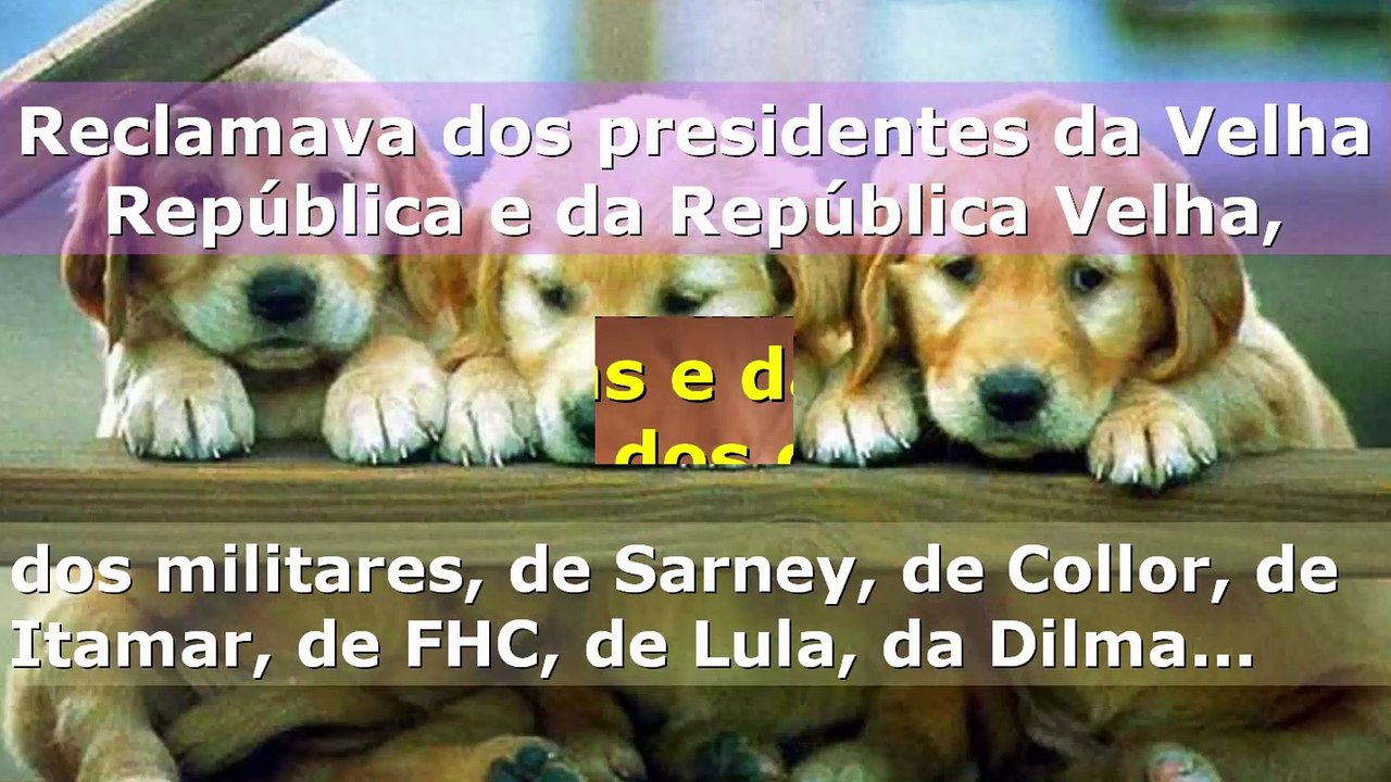 A culpa é sua.