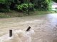 Inondations: alerte rouge dans le Loiret, le centre et l'est les pieds dans l'eau