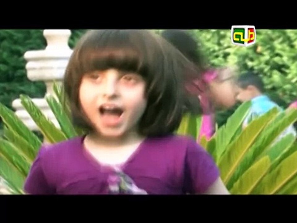 عنا دجاجة بياضة