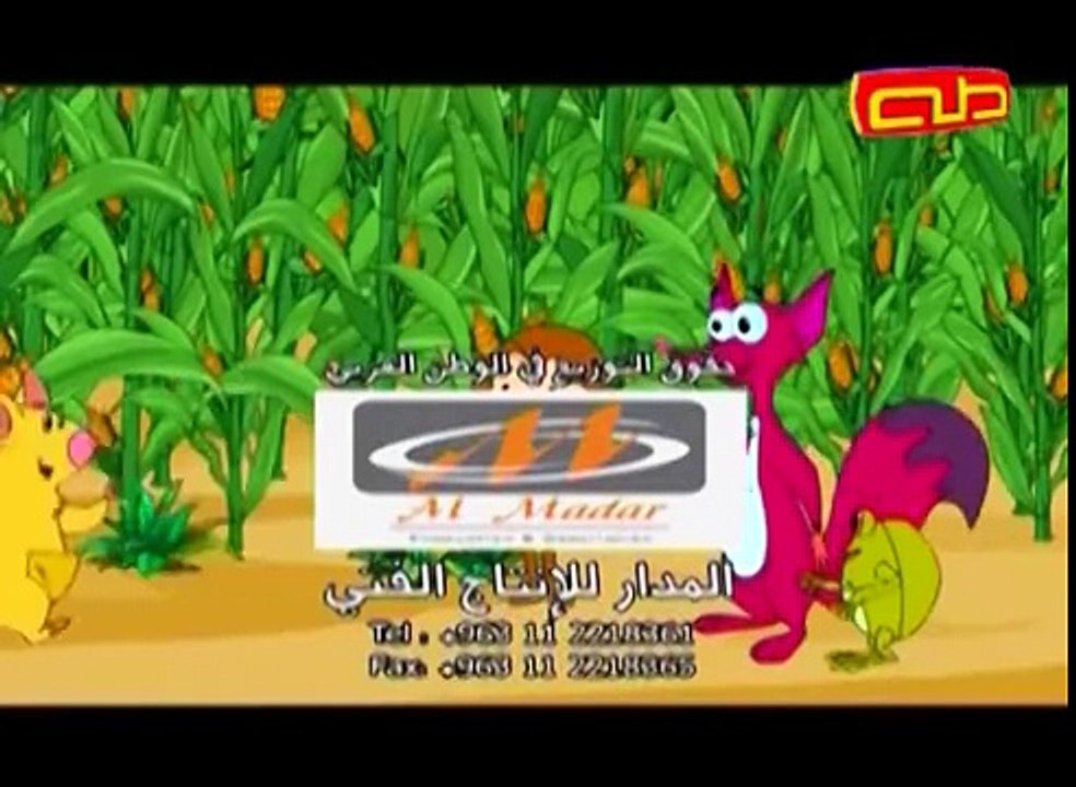 السنجوب الصغير - الرياضة