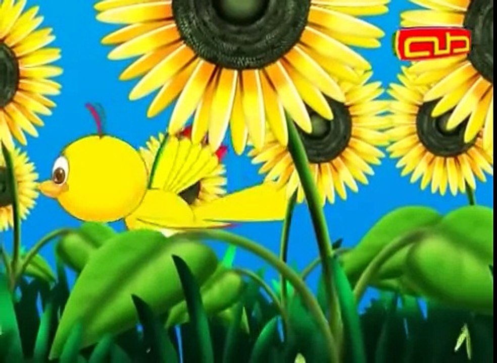 أناشيد ترفيهية - أنا عصفورة