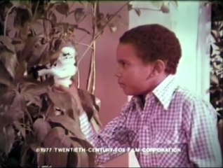 Classic Star Wars Large Size Action Figures