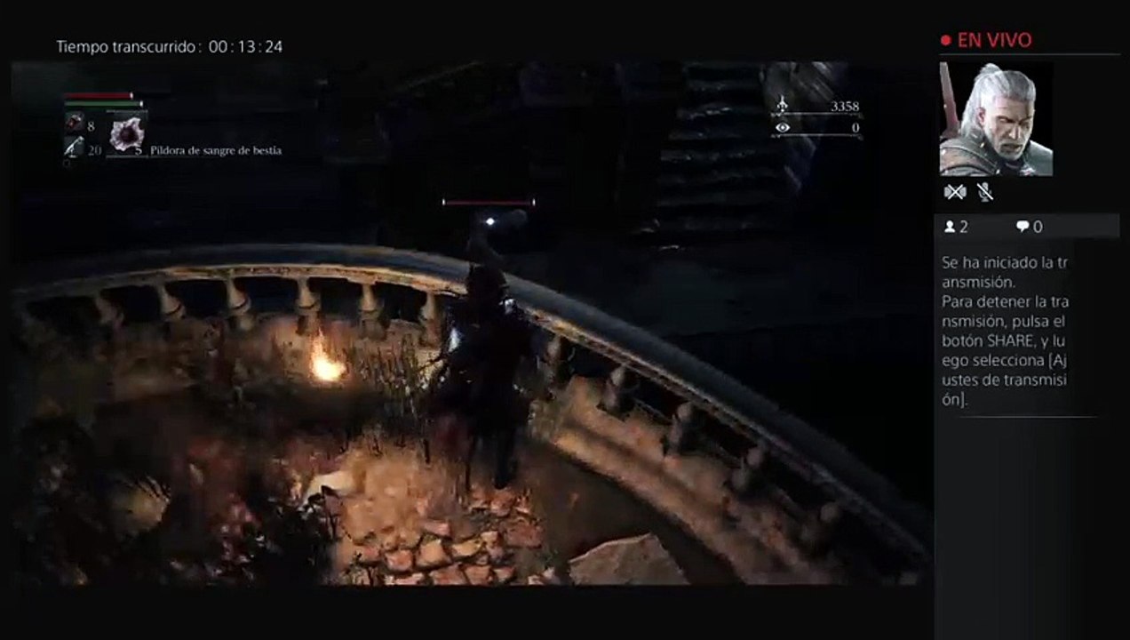 Bloodborne (30)