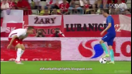 Poland vs Netherlands 1-2 All Goals & Highlights HD 01.06.2016