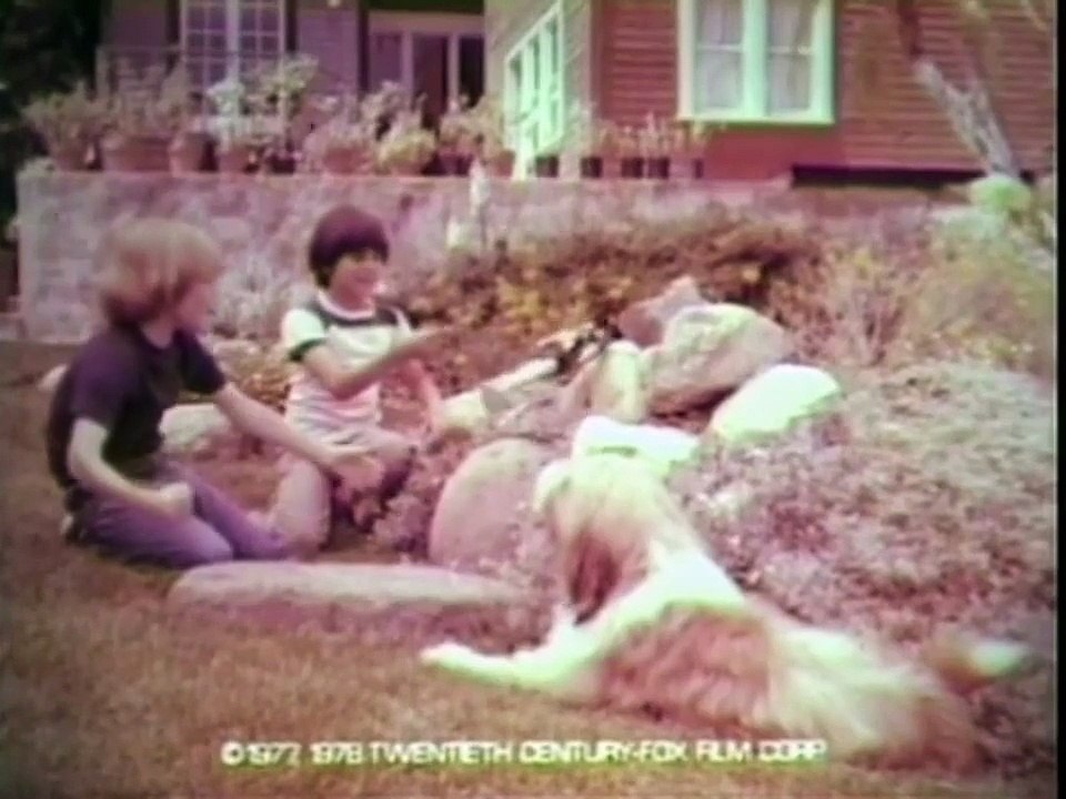 Classic Star Wars Boba Fett Large Size Action Figure