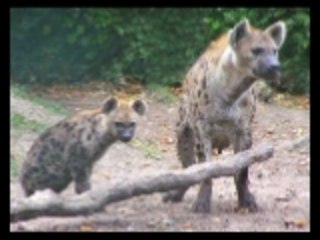 Interlude : Perçage