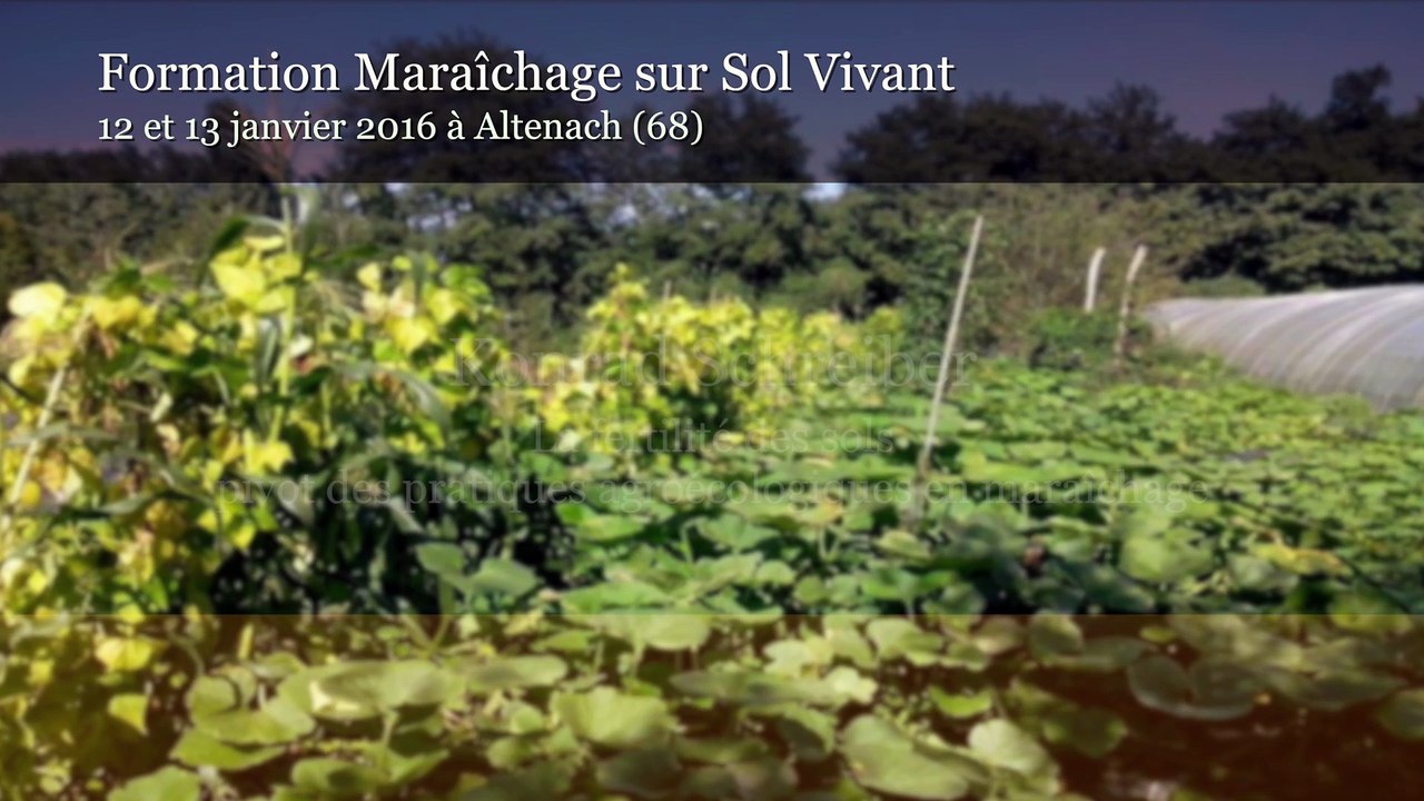 Formation MSV K Schreiber 01/2016 - Partie 12 Les ravageurs, limaces, taupins et autres