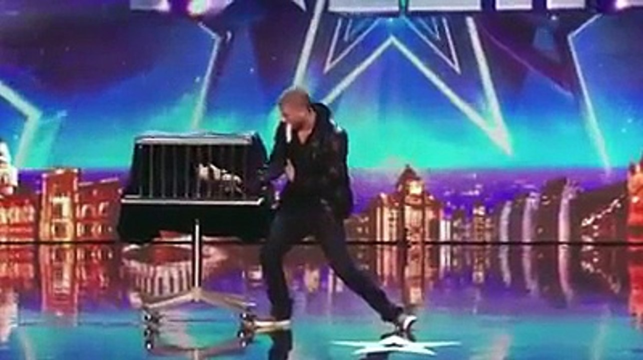 See the Amazing Magic