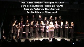 Tres Cantos nativo 2012-11-24.