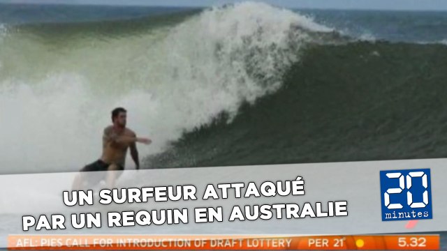 Un surfeur attaqué par un requin en Australie