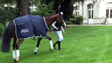 Thomas Carlile aux couleurs de l'Anjou