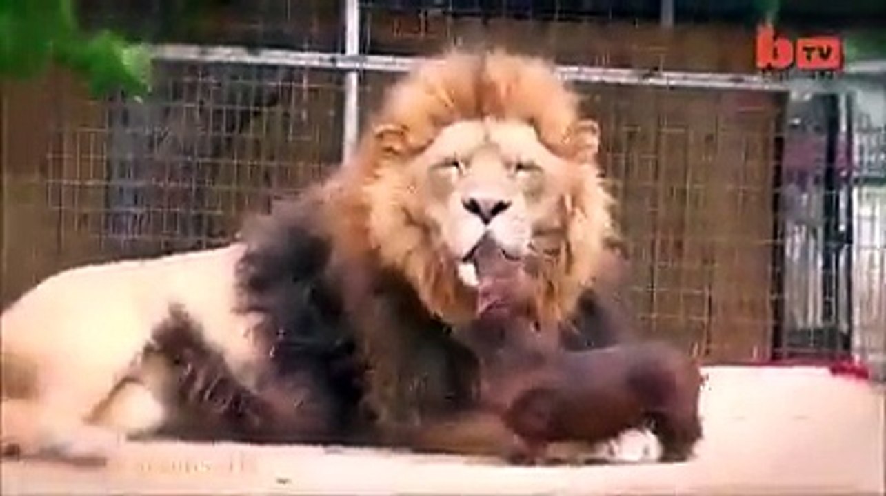 پانامہ لیکس کے بعد ملکی سیاست میں پیدا ہونے والے بحران سے حکومت کو نکالنے کے لیے لندن میں "اہم میٹنگ" جاری