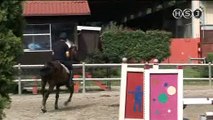 Equitazione salto ostacoli tecnica 26