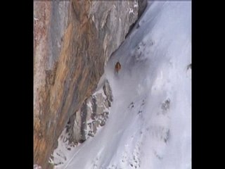 "Swiss freeriding" Cyril Neri 2005&2006