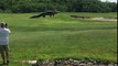 Un dinosaurio vivo de paseo por un campo de golf